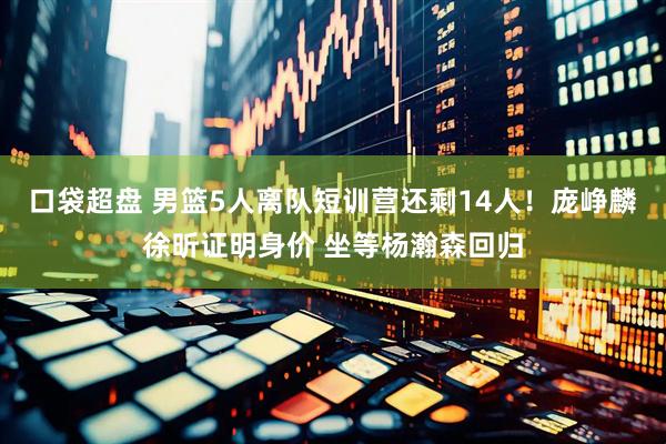 口袋超盘 男篮5人离队短训营还剩14人！庞峥麟徐昕证明身价 坐等杨瀚森回归