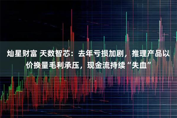 灿星财富 天数智芯：去年亏损加剧，推理产品以价换量毛利承压，现金流持续“失血”
