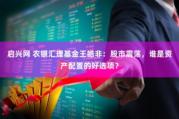启兴网 农银汇理基金王皓非：股市震荡，谁是资产配置的好选项？