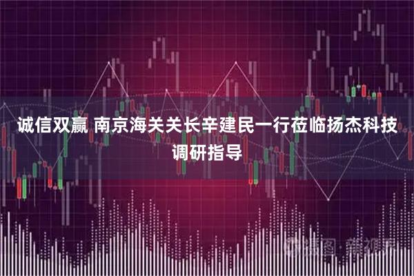 诚信双赢 南京海关关长辛建民一行莅临扬杰科技调研指导
