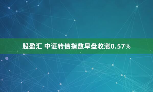 股盈汇 中证转债指数早盘收涨0.57%