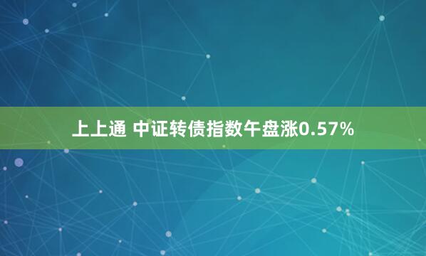 上上通 中证转债指数午盘涨0.57%