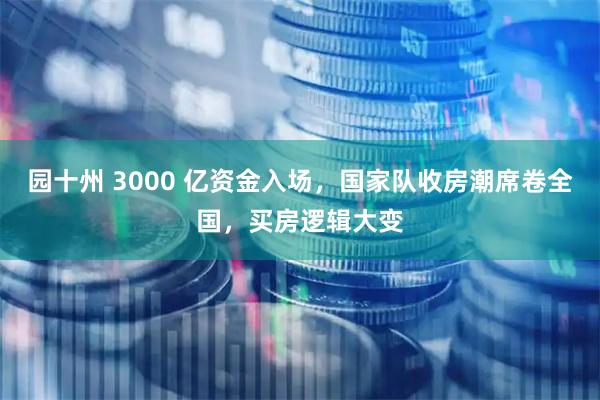 园十州 3000 亿资金入场，国家队收房潮席卷全国，买房逻辑大变