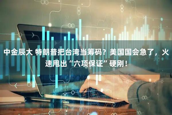 中金辰大 特朗普把台湾当筹码？美国国会急了，火速甩出“六项保证”硬刚！