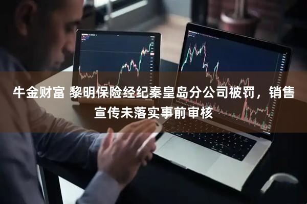 牛金财富 黎明保险经纪秦皇岛分公司被罚，销售宣传未落实事前审核