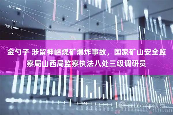 金勺子 涉留神峪煤矿爆炸事故，国家矿山安全监察局山西局监察执法八处三级调研员