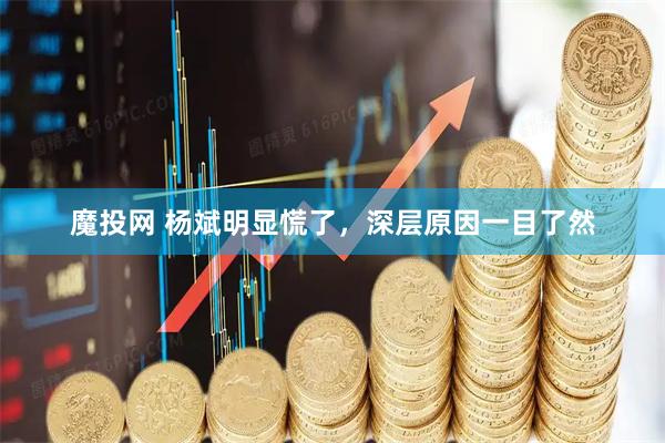 魔投网 杨斌明显慌了，深层原因一目了然